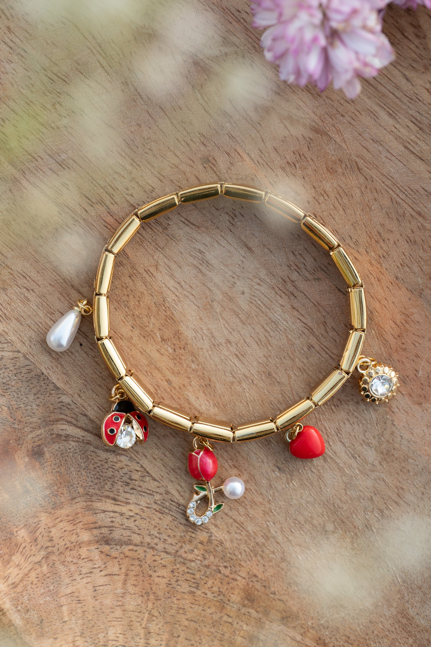 LadyBug Charm