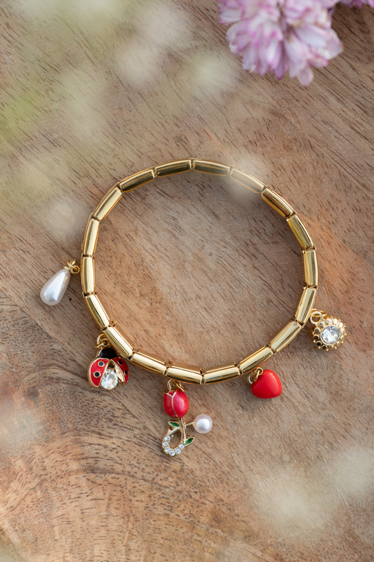 LadyBug Charm