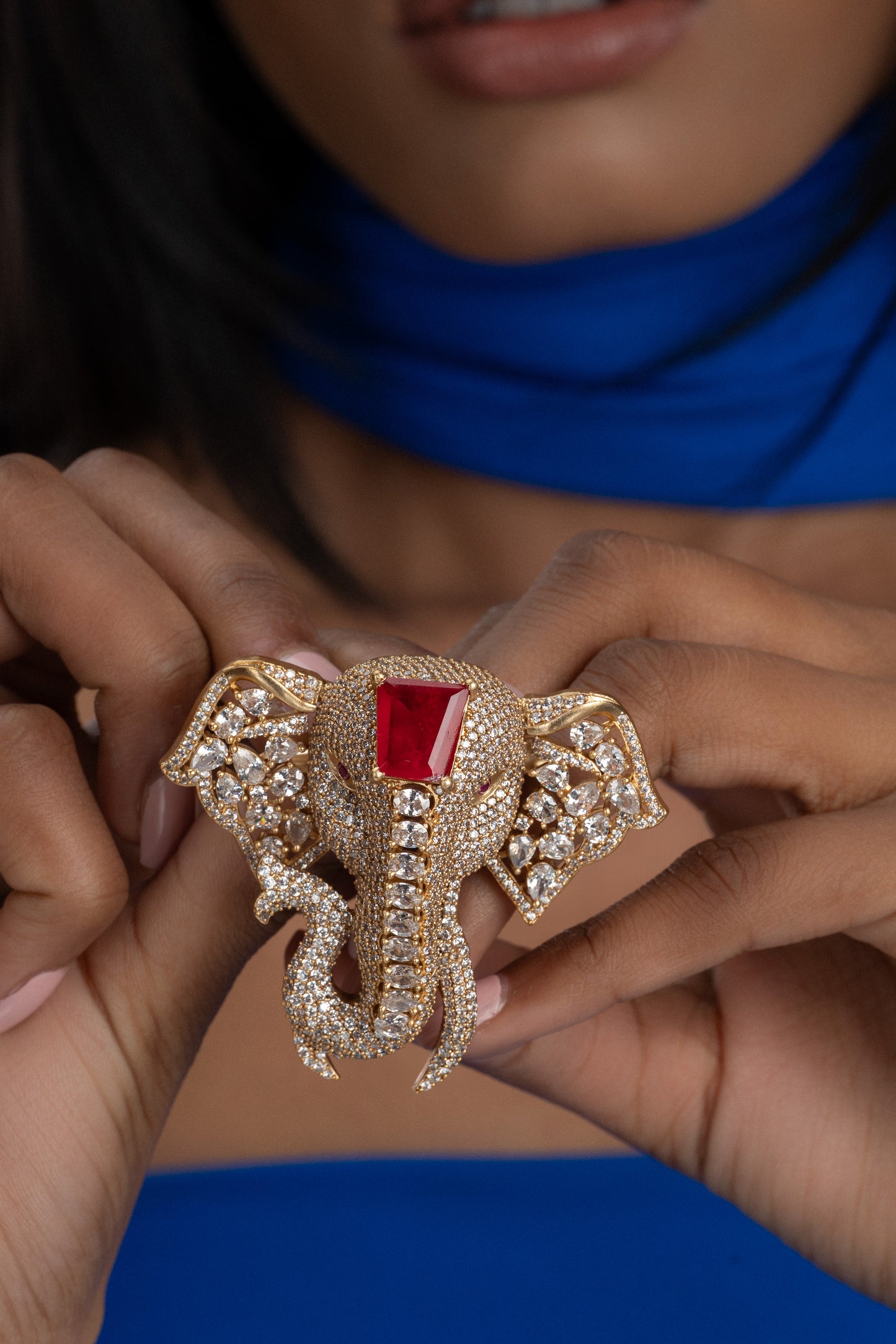 Gajraaj (red)
