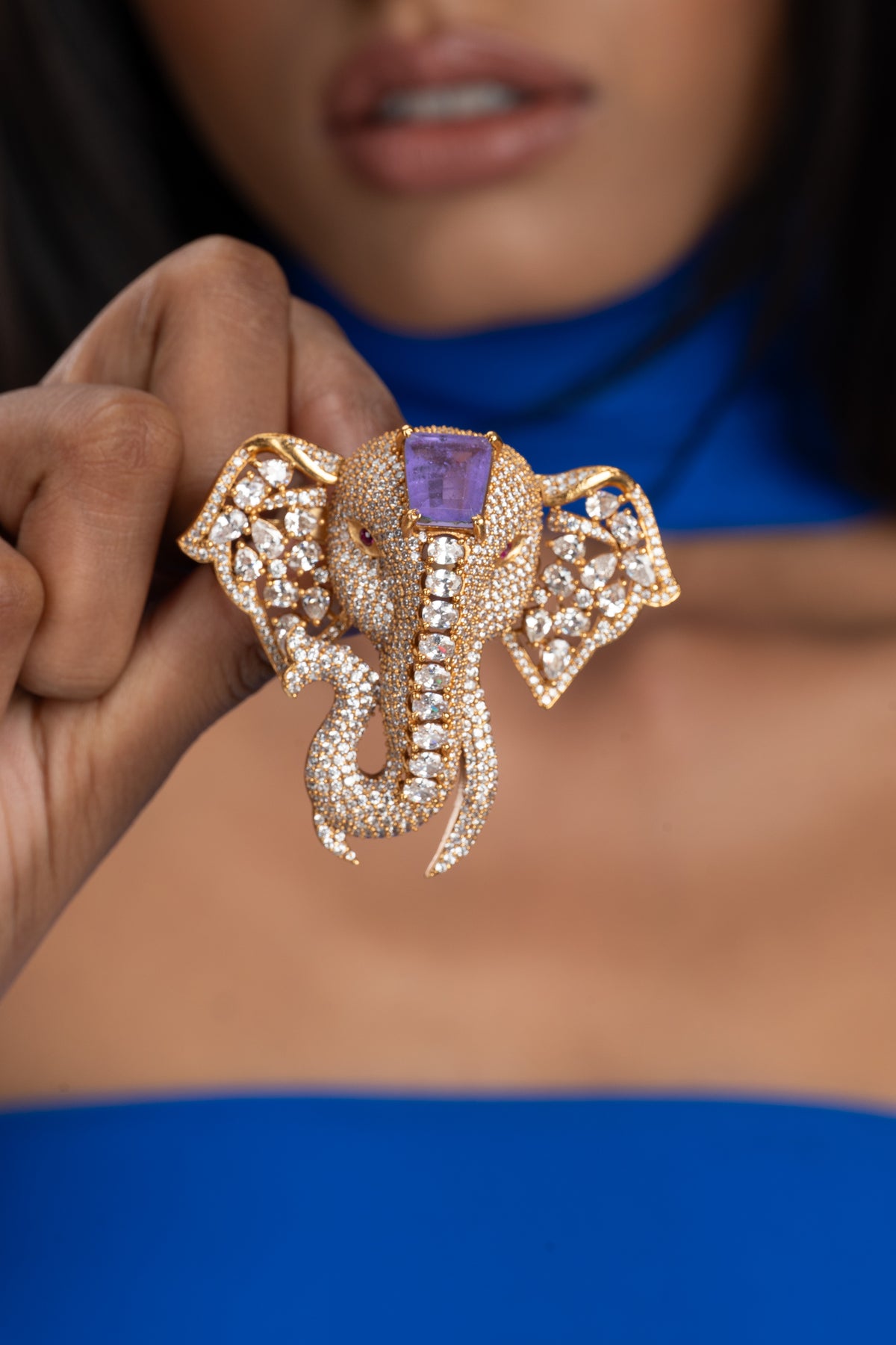 Gajraaj (purple)
